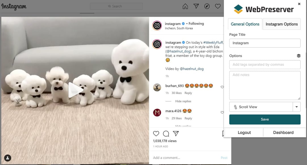 WP screenshot-1