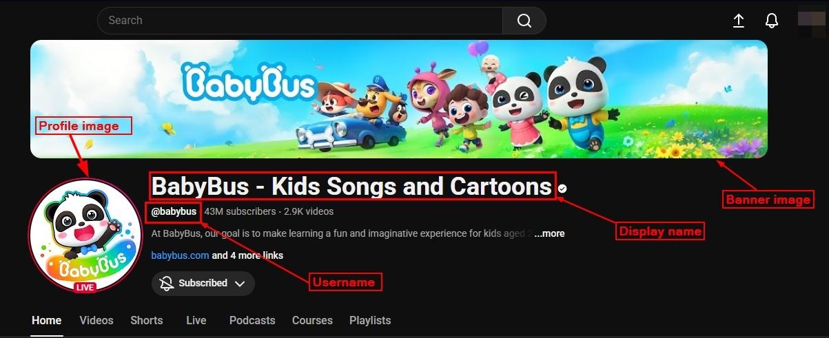 YouTube channel page for “BabyBus – Kids Songs and Cartoons,” with profile image, banner image, display name, and username labeled.
